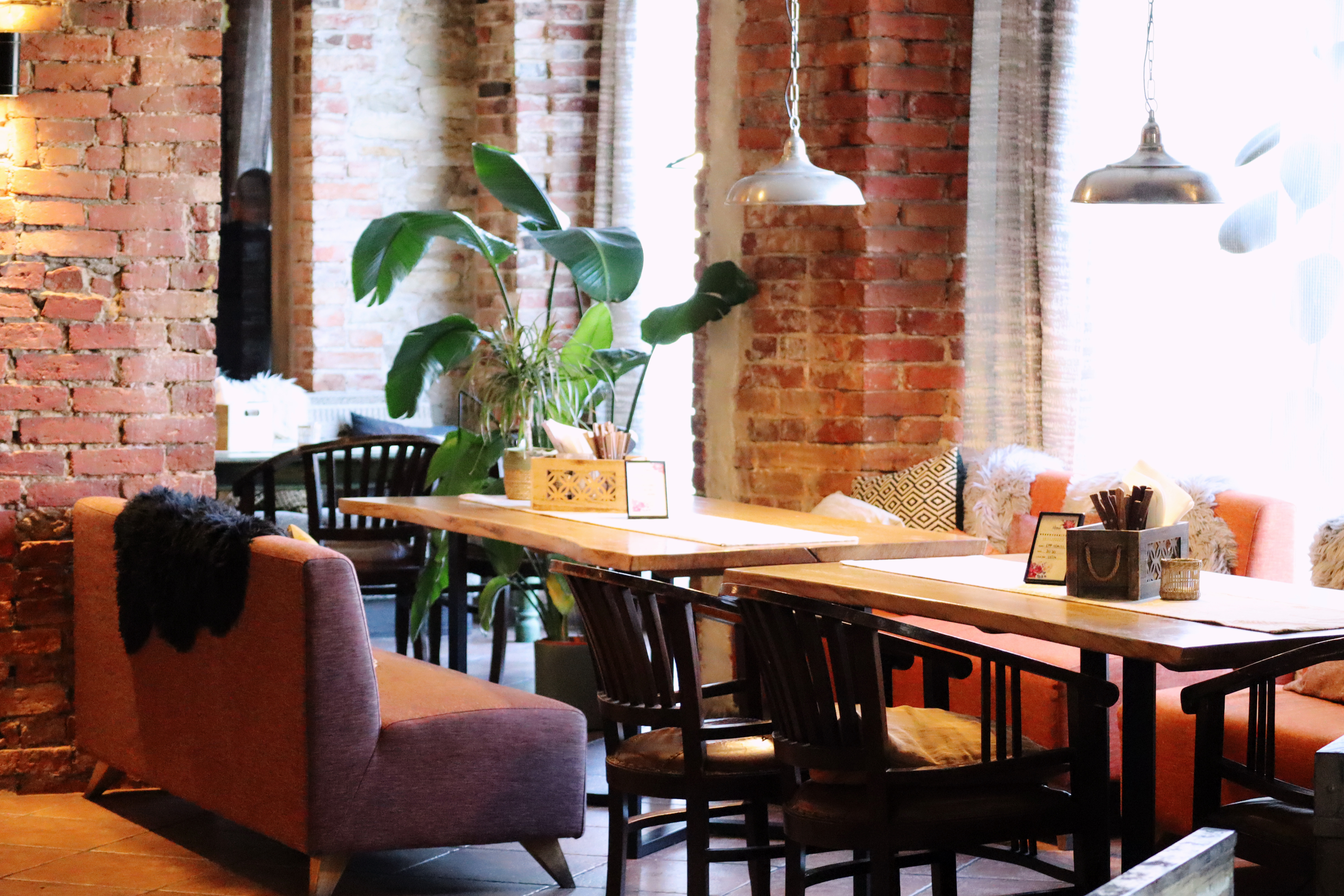 virma pubi tagumine saal palmiga