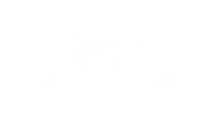 Virma pubi logo white